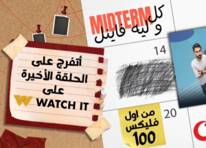 عرض فليكس 100