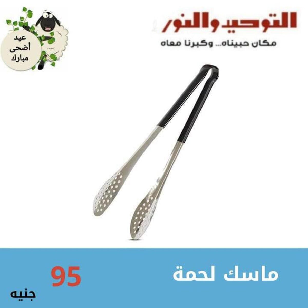 عروض التوحيد والنور 16-30 أغسطس 2026 - مجلة عروض التوحيد والنور