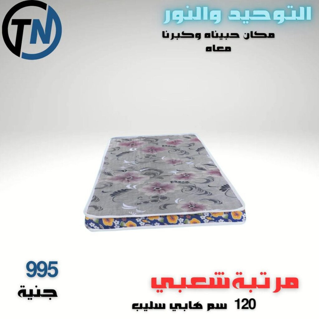 عروض التوحيد والنور 29-31 أغسطس 2026 - مجلة عروض التوحيد والنور
