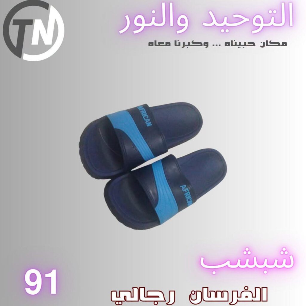 عروض التوحيد والنور من 14 سبتمبر 2026 - مجلة عروض التوحيد والنور
