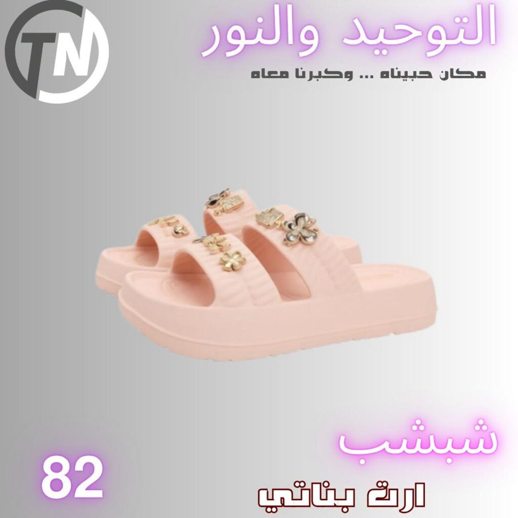 عروض التوحيد والنور من 5 سبتمبر 2026 - مجلة عروض التوحيد والنور
