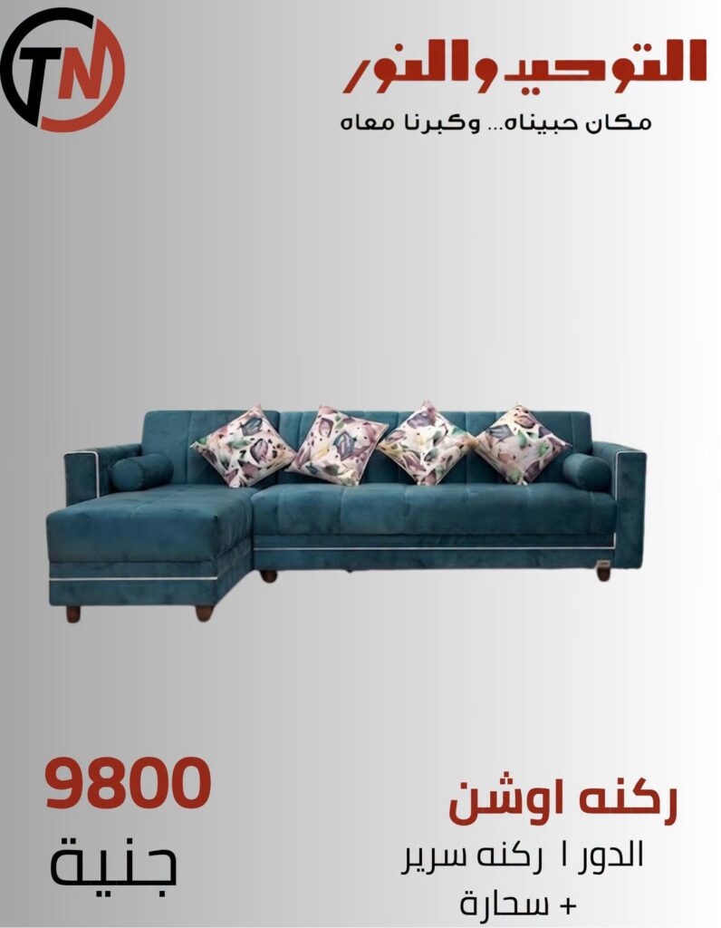 عروض التوحيد والنور من 8 سبتمبر 2026 - مجلة عروض التوحيد والنور