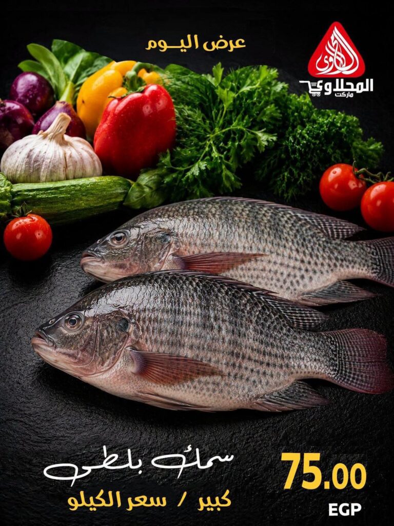 عروض المحلاوي من 24 سبتمبر 2026