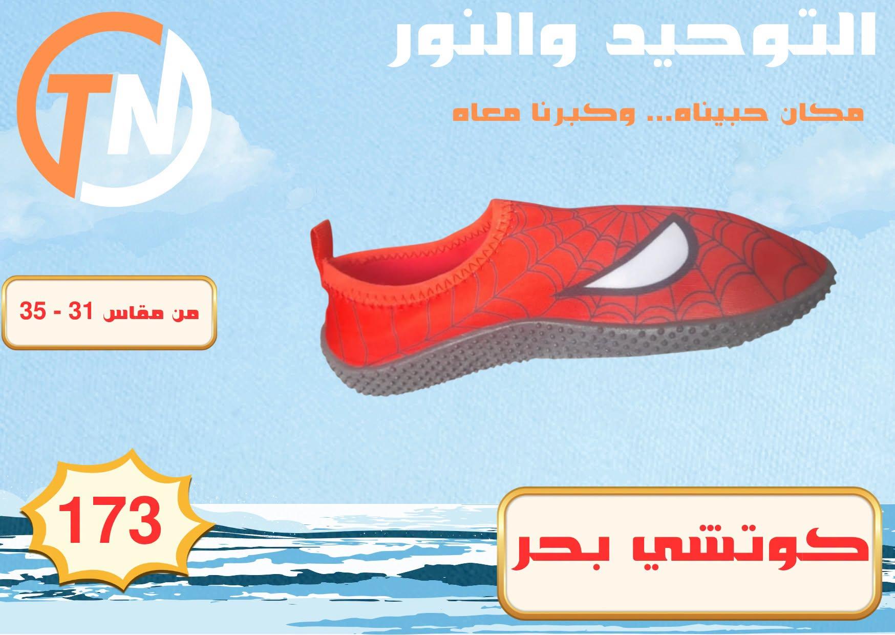 عروض التوحيد والنور صفحة 8