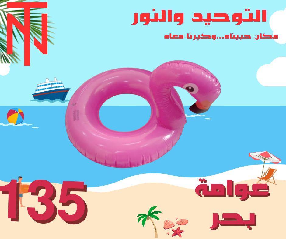 عروض التوحيد والنور صفحة 17