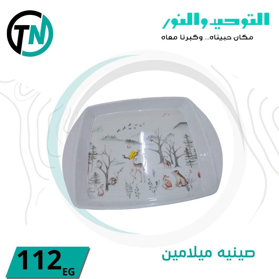 عروض التوحيد والنور صفحة 14