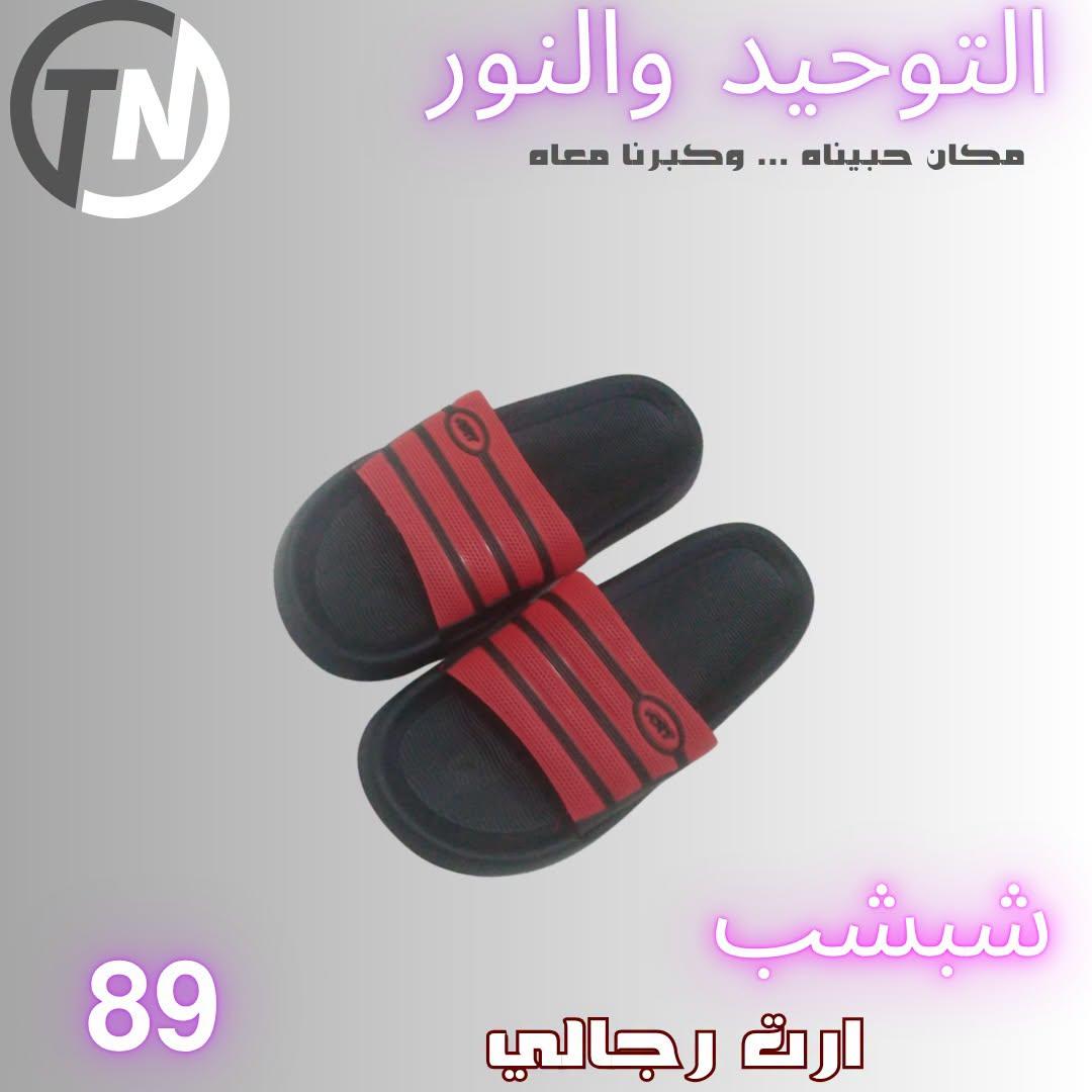 عروض التوحيد والنور صفحة 8
