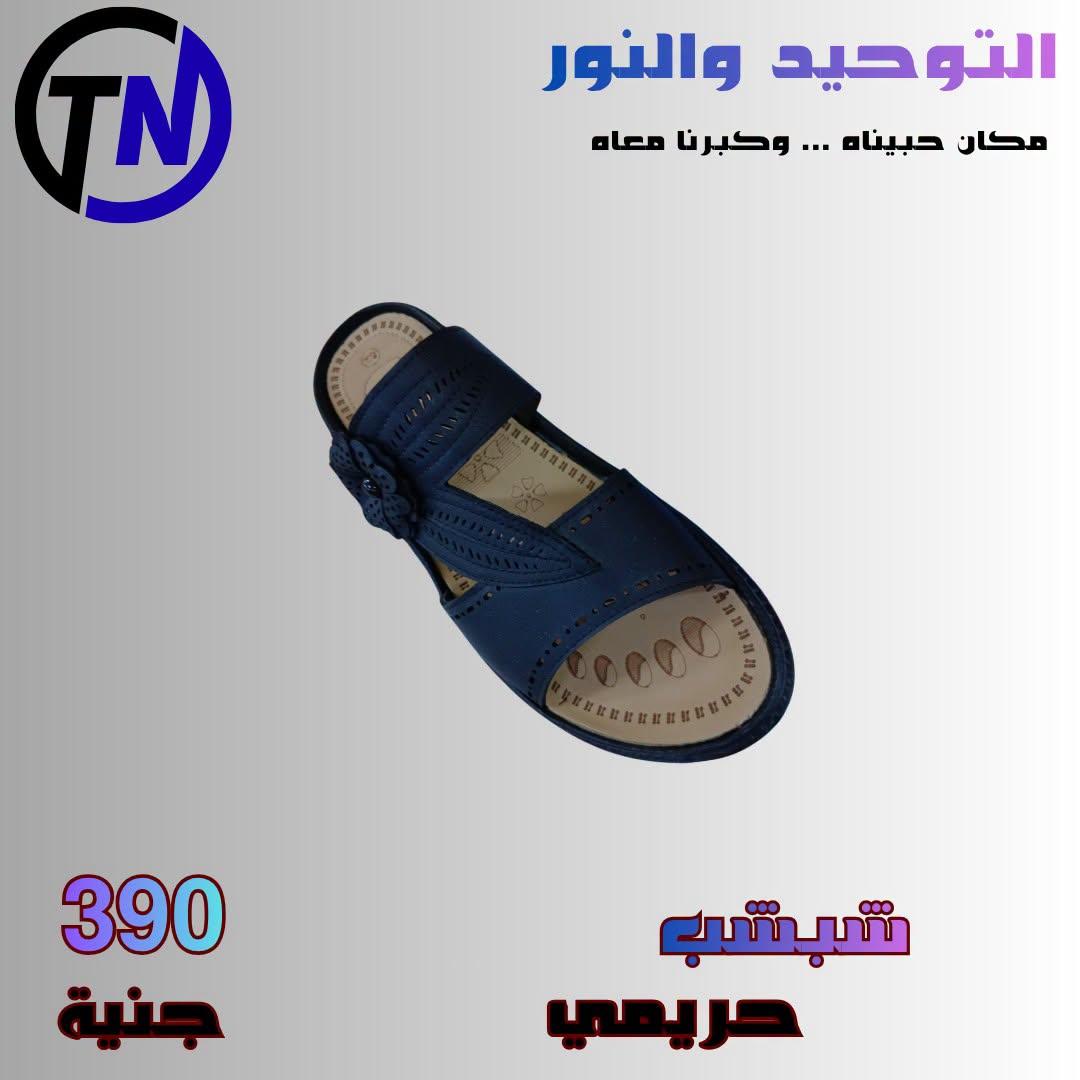 عروض التوحيد والنور صفحة 15 عروض التوحيد والنور صفحة 15