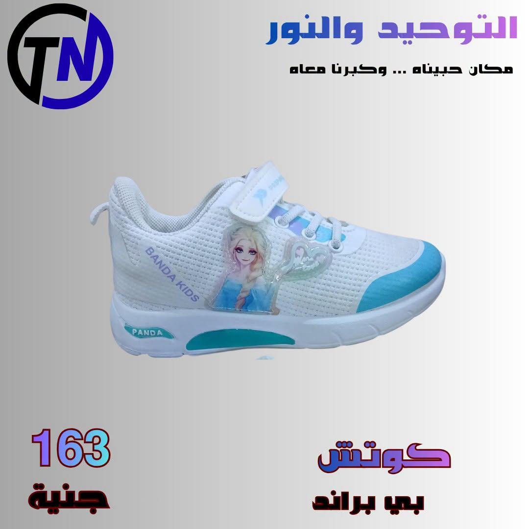 عروض التوحيد والنور صفحة 6 عروض التوحيد والنور صفحة 6