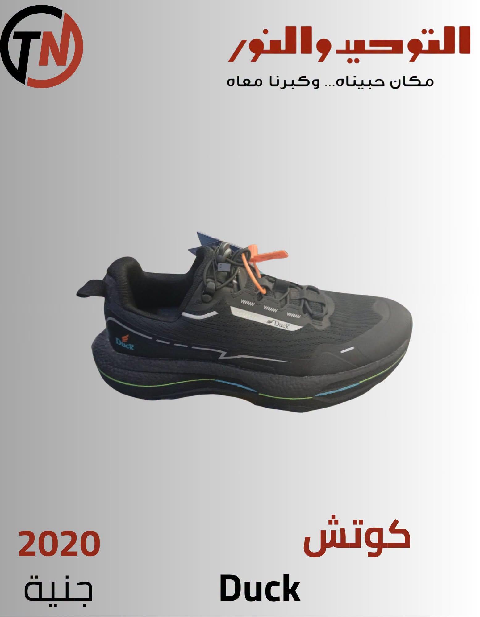 عروض التوحيد والنور صفحة 12