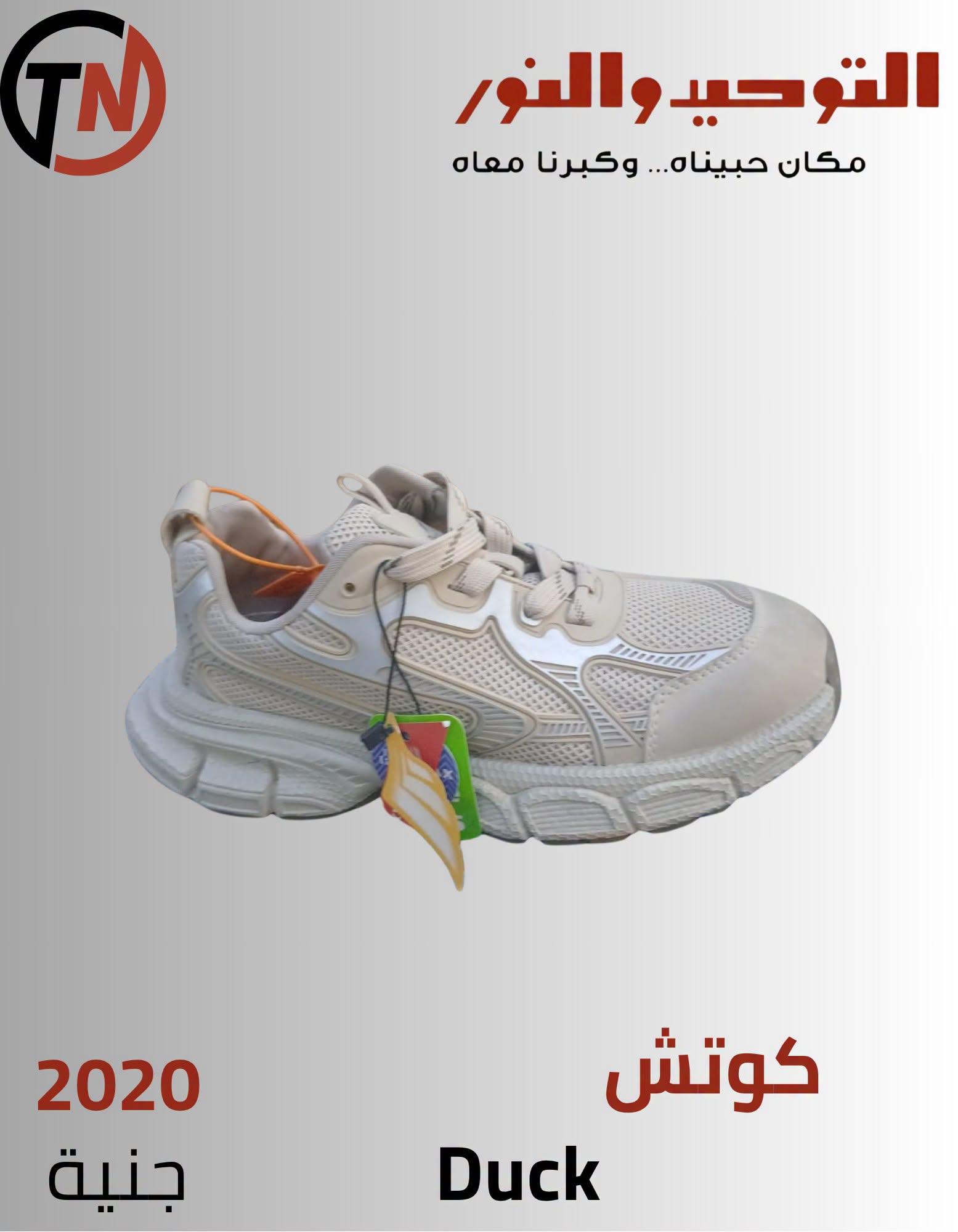 عروض التوحيد والنور صفحة 14