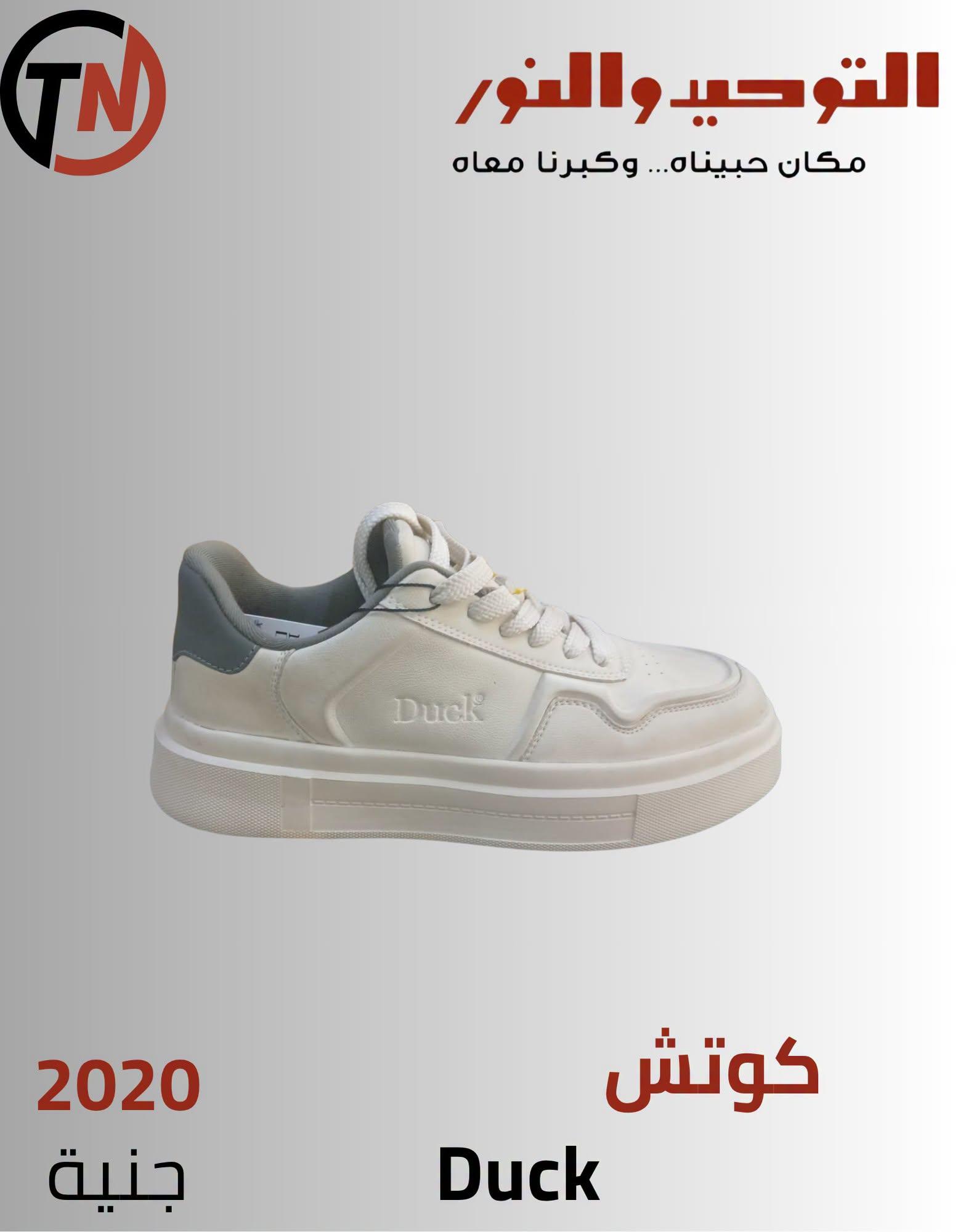 عروض التوحيد والنور صفحة 17