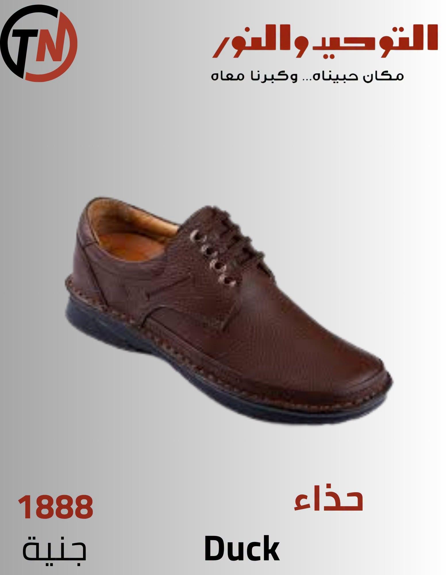 عروض التوحيد والنور صفحة 7