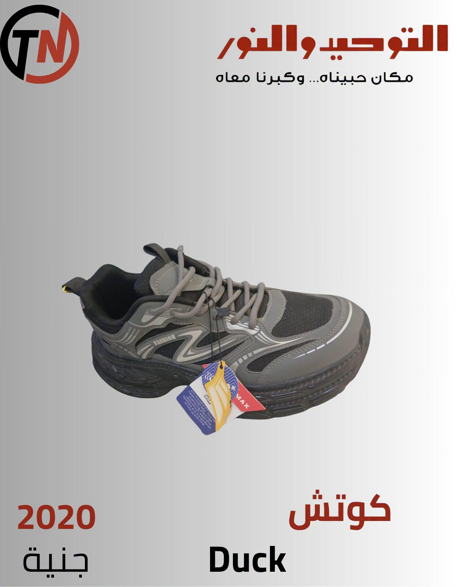 عروض التوحيد والنور صفحة 11