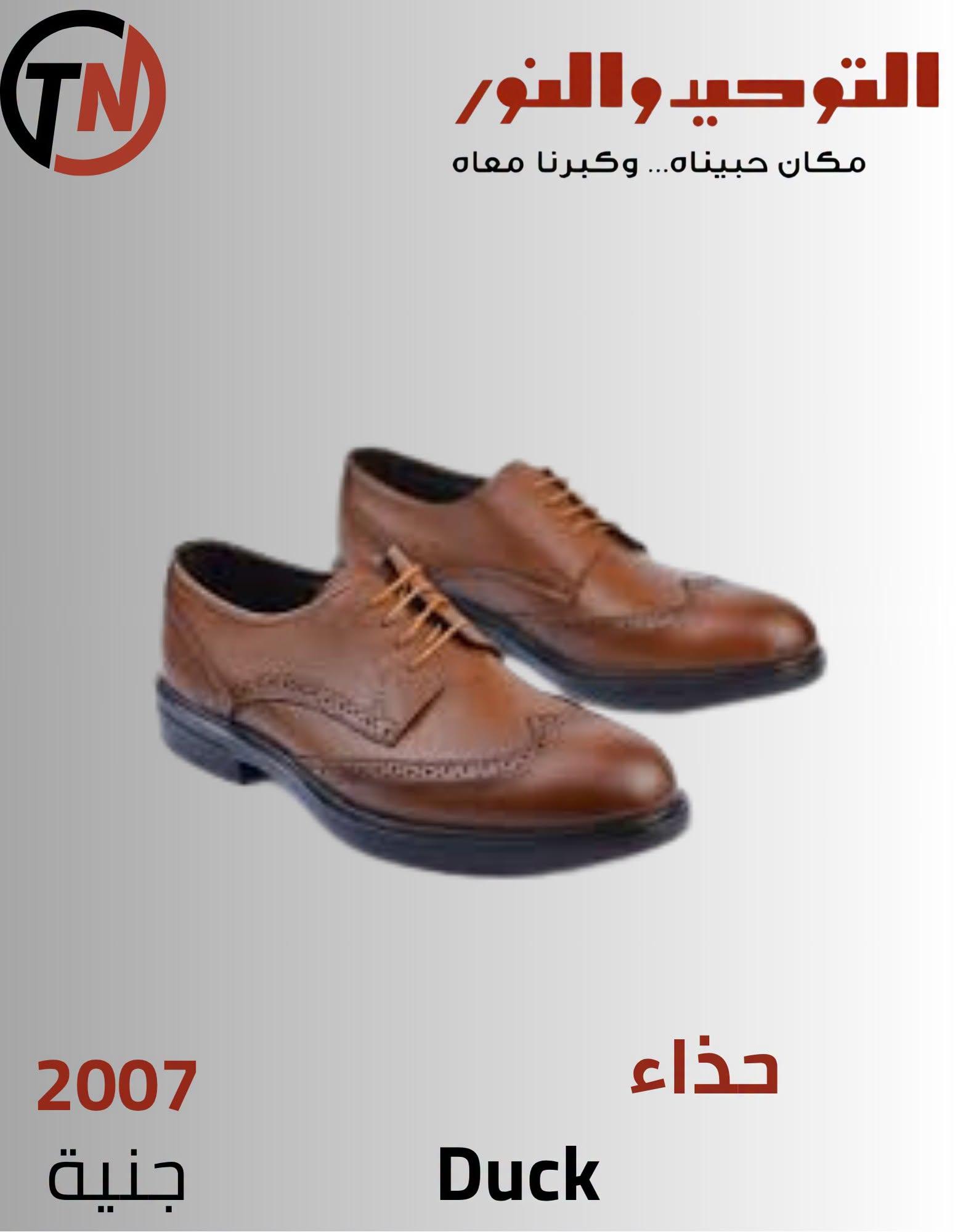 عروض التوحيد والنور صفحة 8