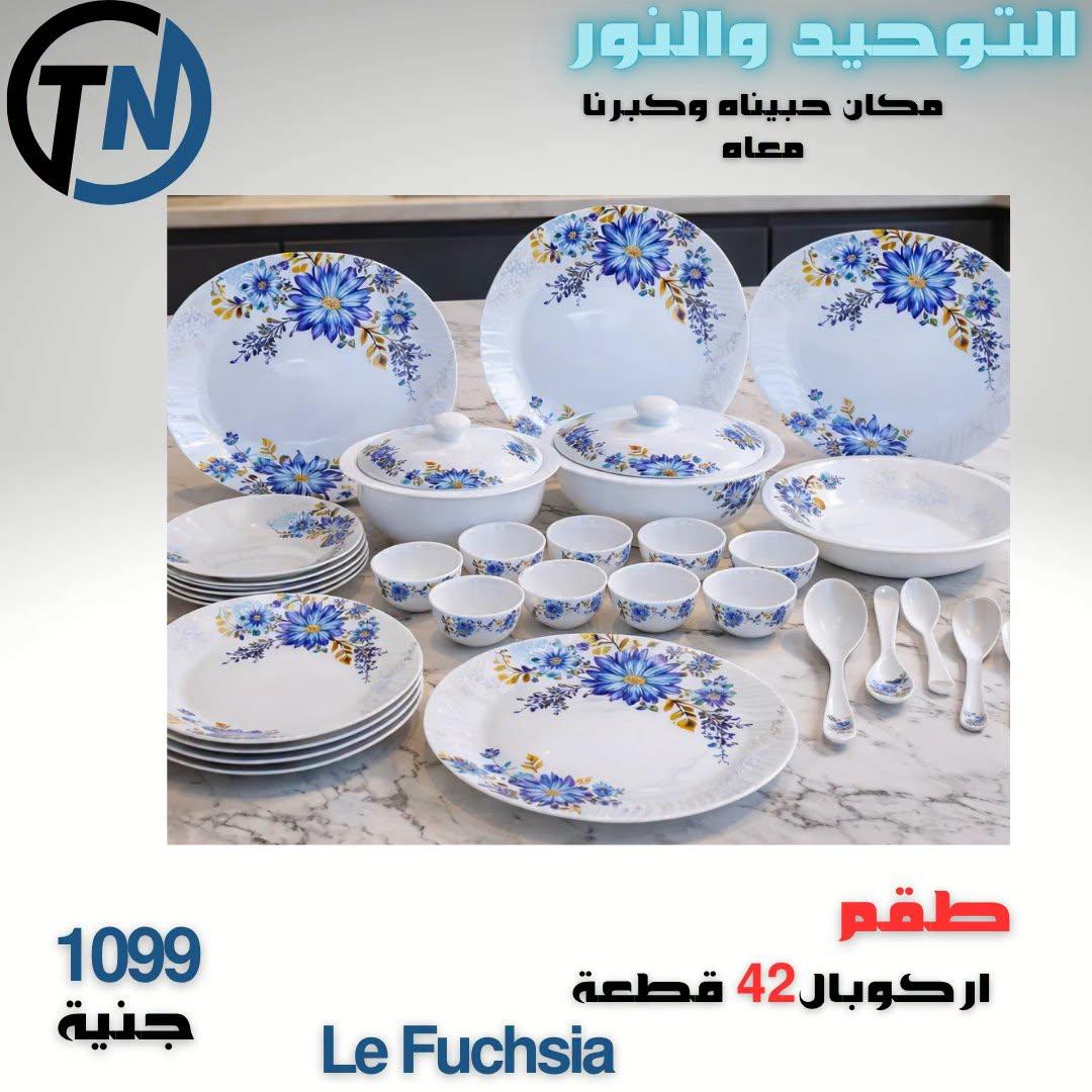 عروض التوحيد والنور صفحة 8 عروض التوحيد والنور صفحة 8