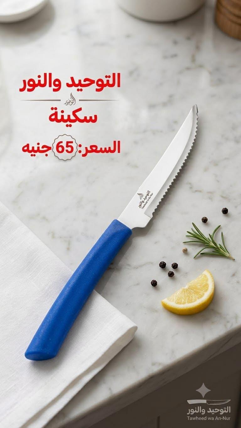 عروض التوحيد والنور صفحة 12
