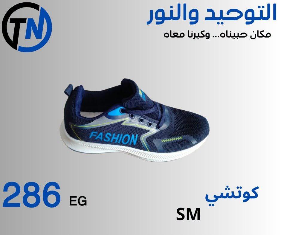 عروض التوحيد والنور صفحة 14