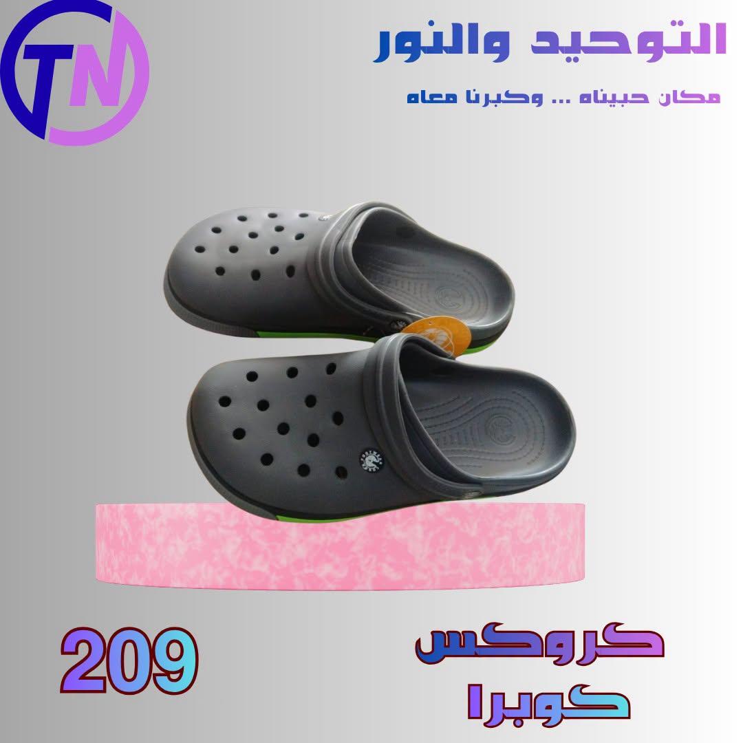 عروض التوحيد والنور صفحة 7