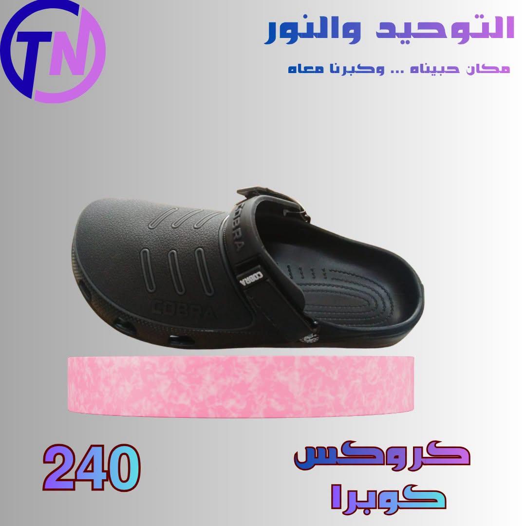 عروض التوحيد والنور صفحة 8
