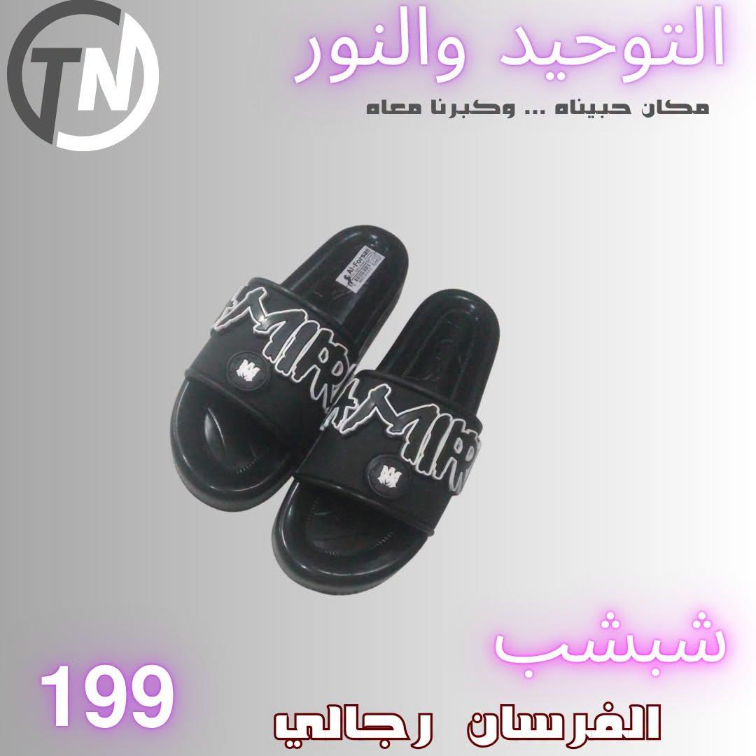 عروض التوحيد والنور صفحة 2