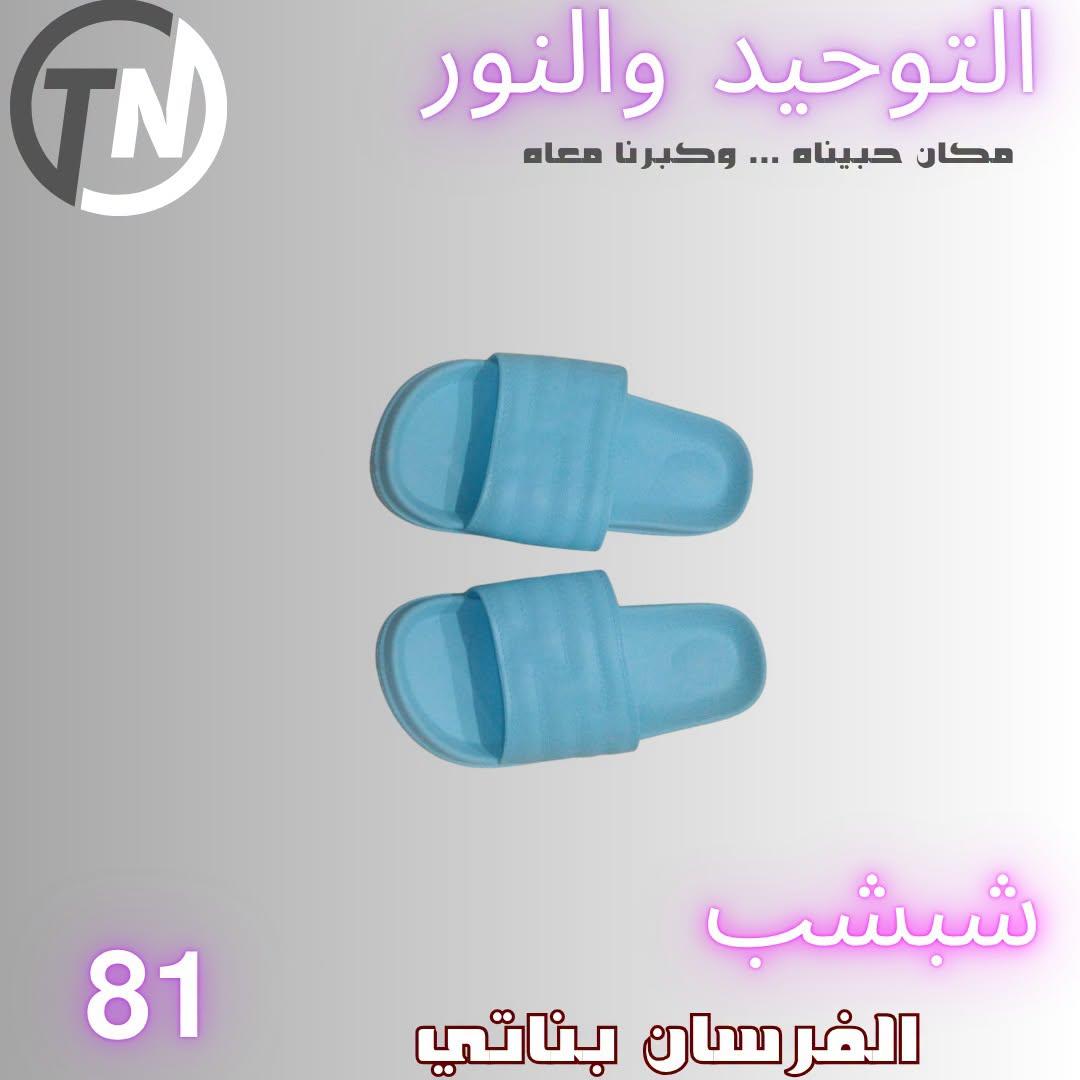 عروض التوحيد والنور صفحة 8