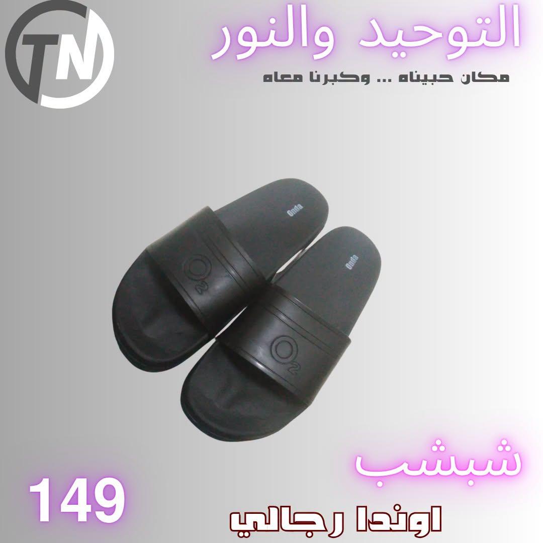 عروض التوحيد والنور صفحة 2