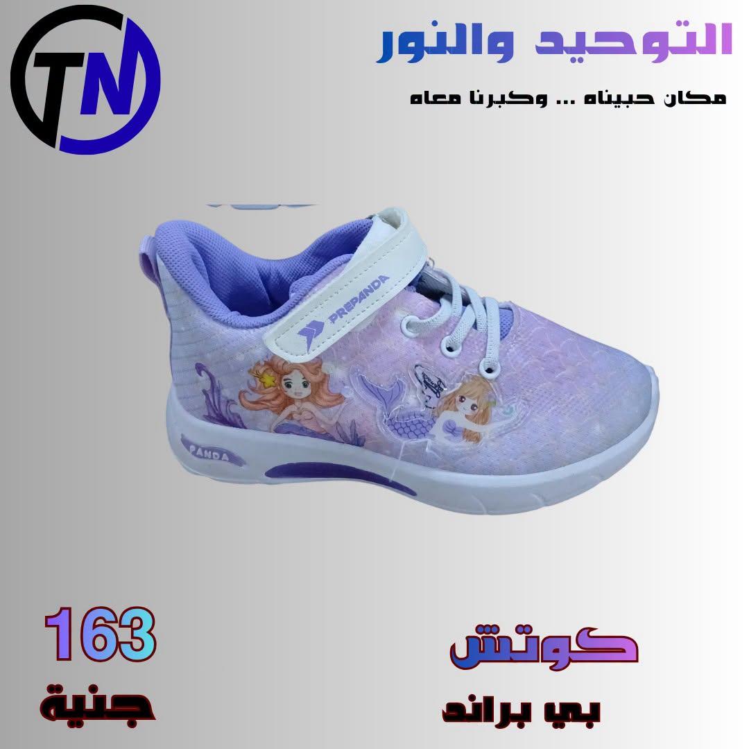 عروض التوحيد والنور صفحة 13