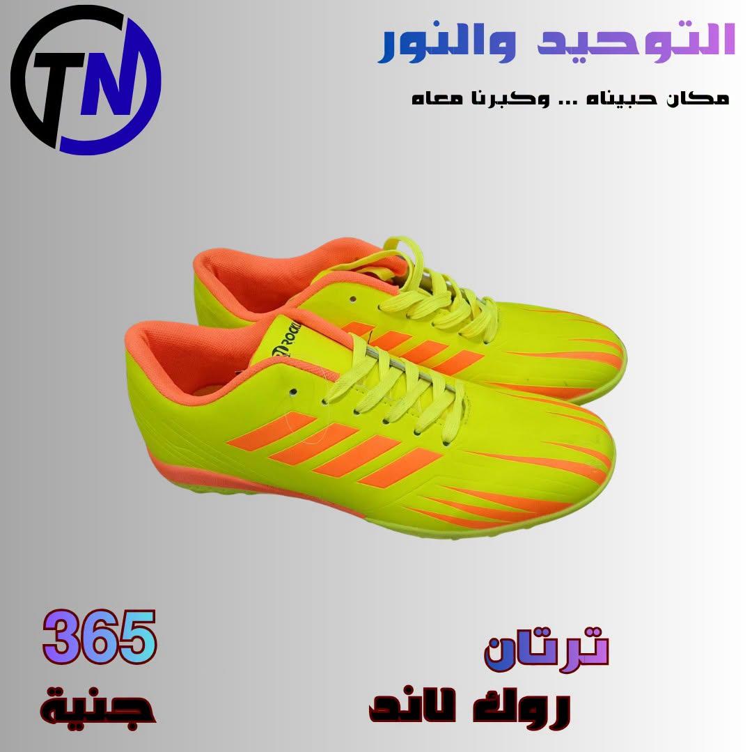 عروض التوحيد والنور صفحة 8