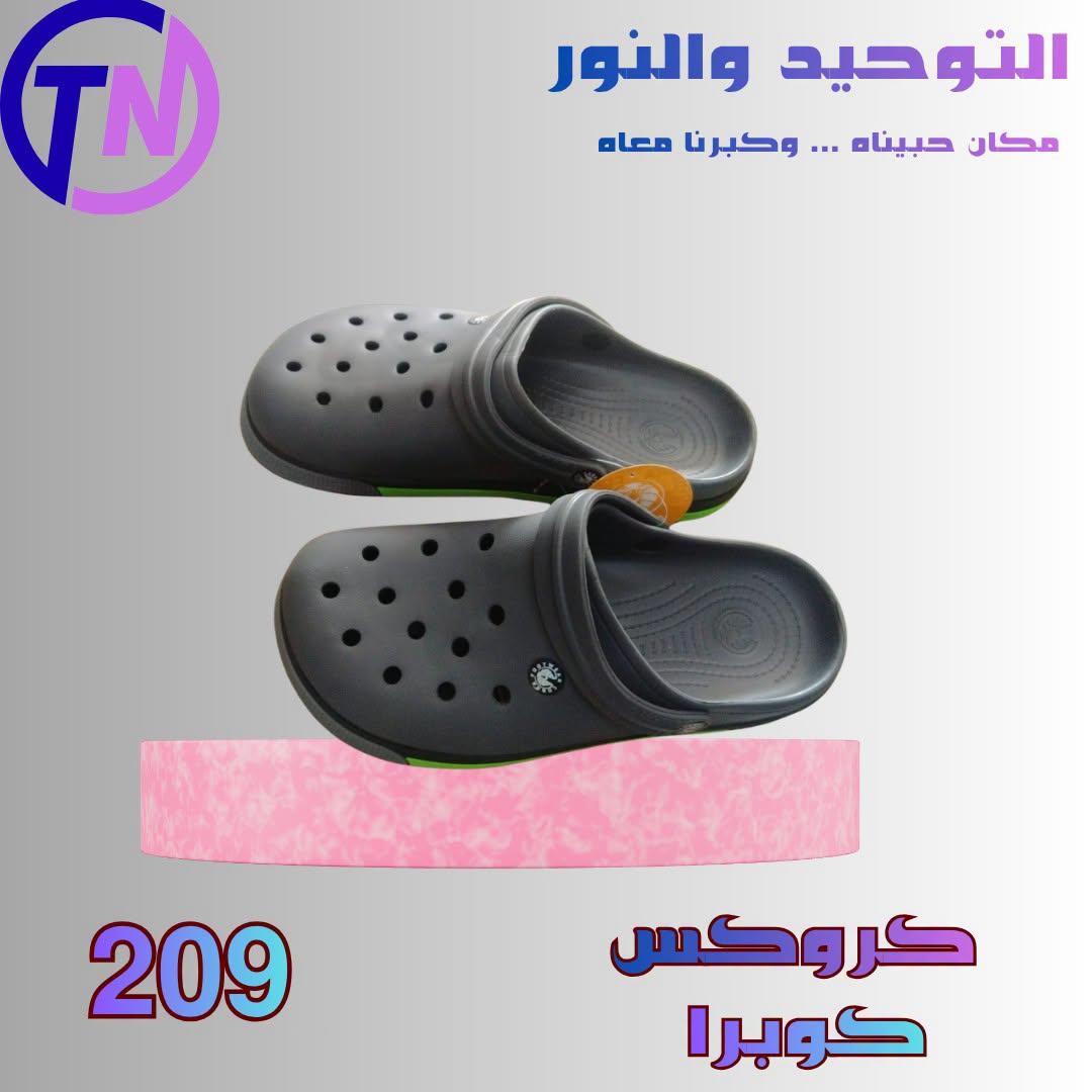 عروض التوحيد والنور صفحة 4