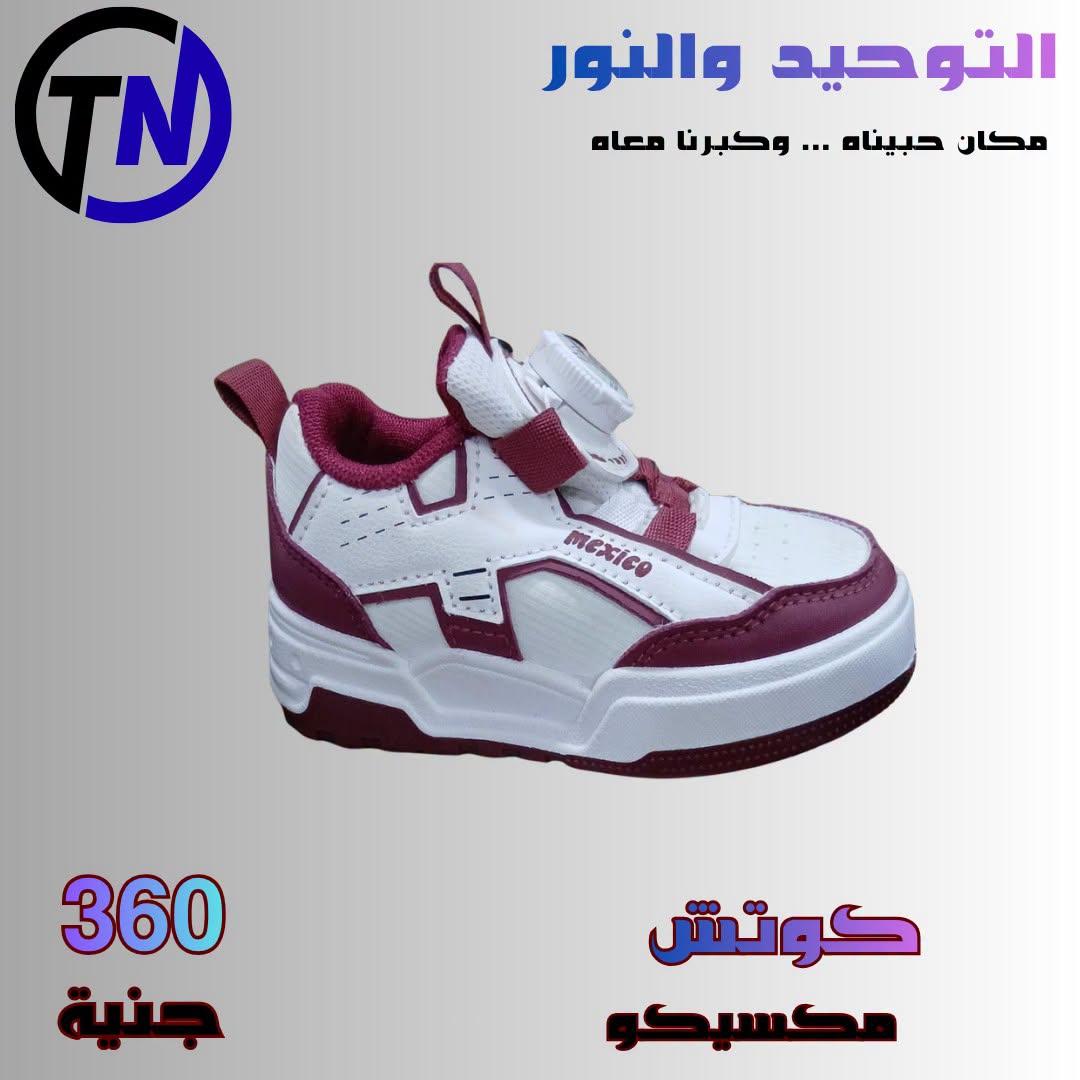 عروض التوحيد والنور صفحة 17
