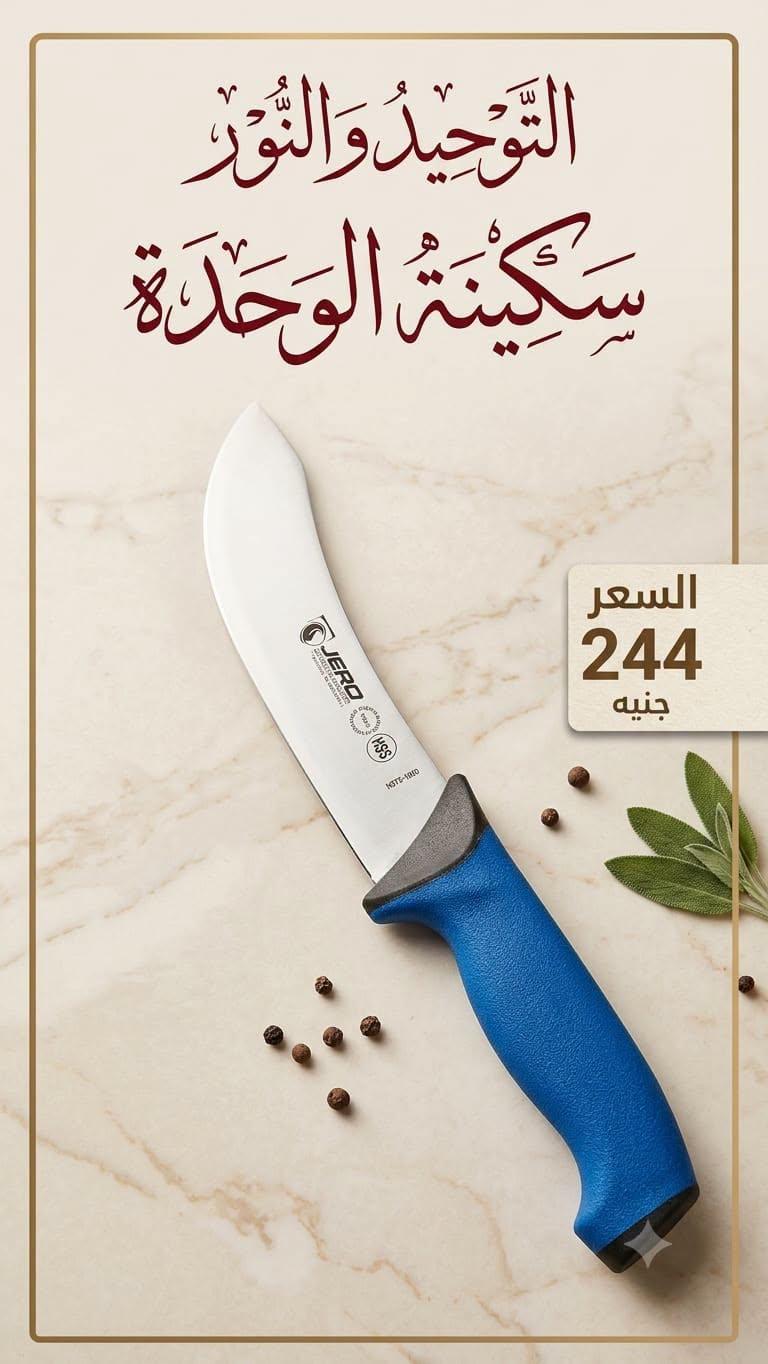 عروض التوحيد والنور صفحة 13