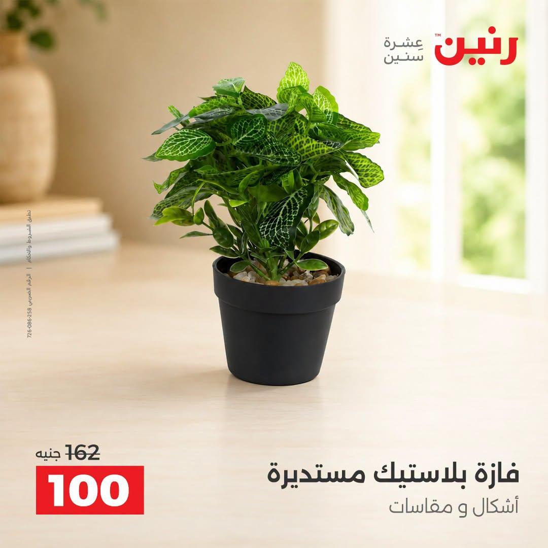 عروض رنين صفحة 29