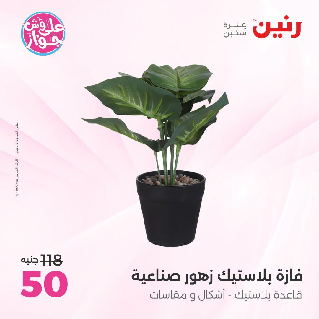 عروض رنين صفحة 61