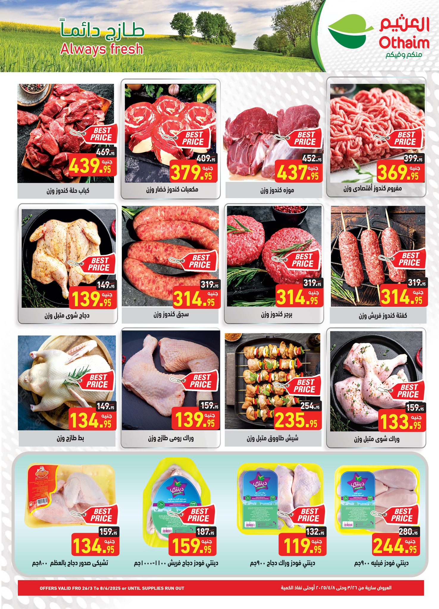 abdullah-alothaim-markets offers from 26mar to 8apr 2025 عروض أسواق عبد الله العثيم من 26 مارس حتى 8 إبريل 2025 صفحة رقم 3