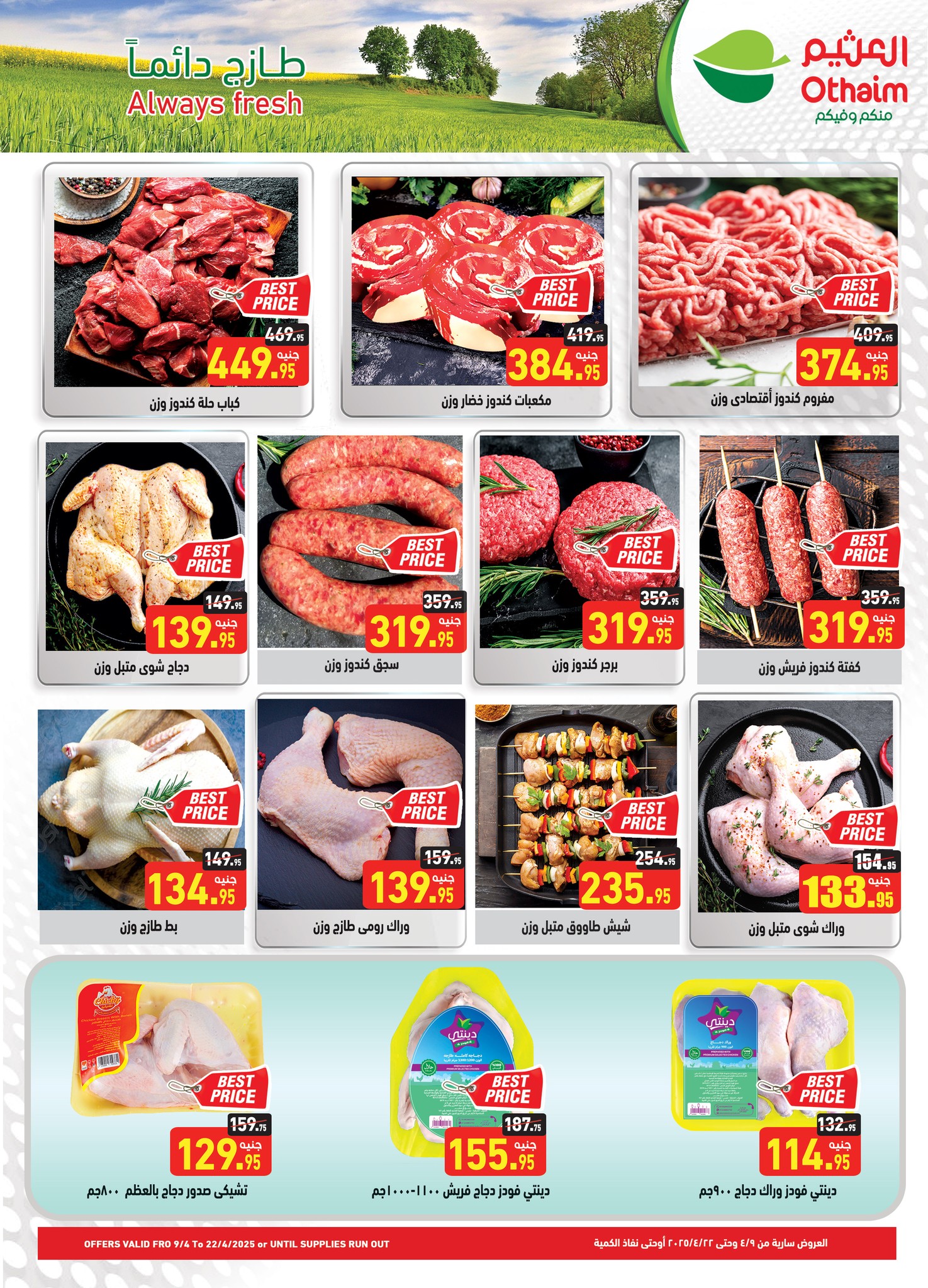abdullah-alothaim-markets offers from 9apr to 15apr 2025 عروض أسواق عبد الله العثيم من 9 إبريل حتى 15 إبريل 2025 صفحة رقم 1