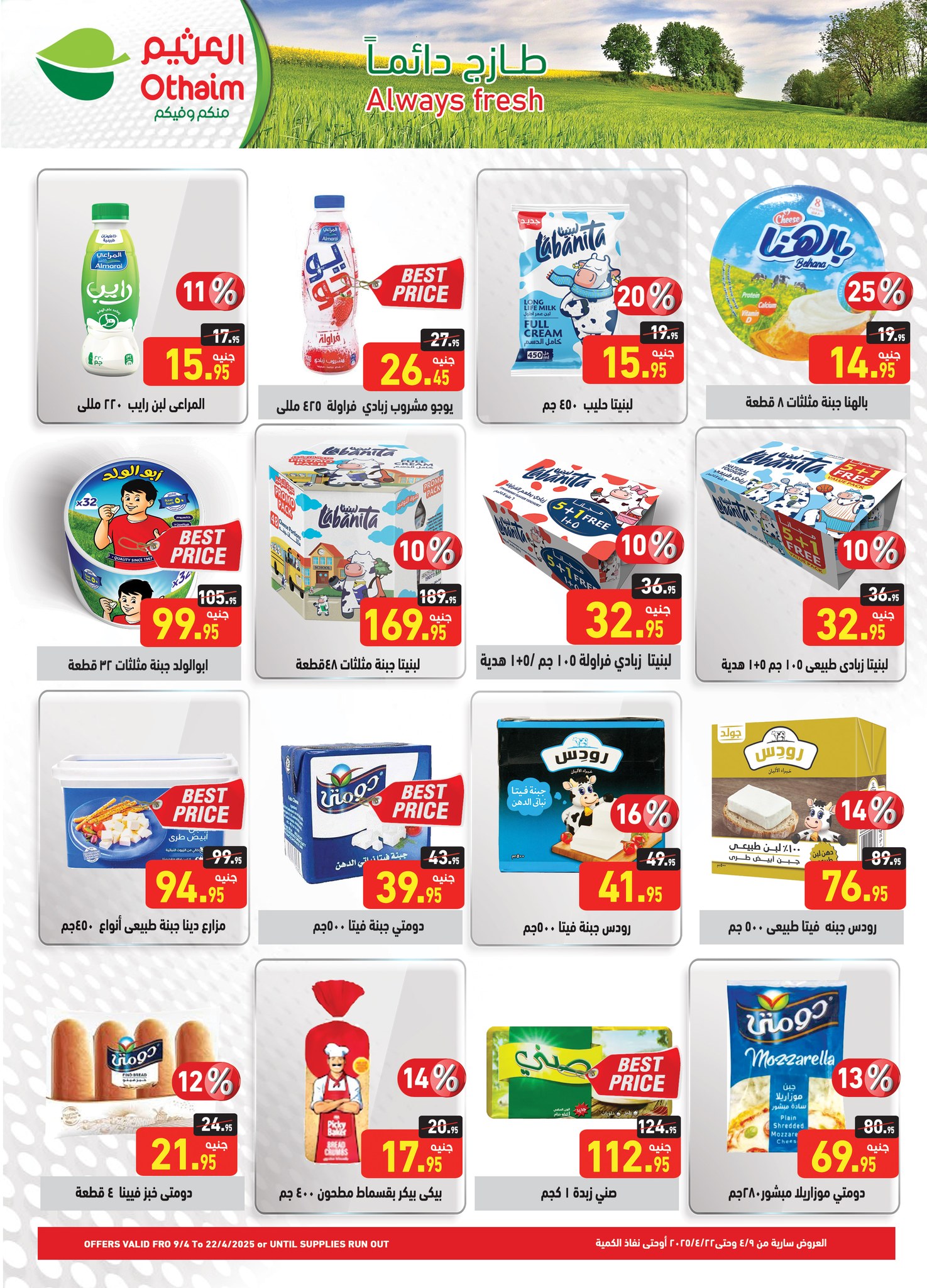 abdullah-alothaim-markets offers from 9apr to 15apr 2025 عروض أسواق عبد الله العثيم من 9 إبريل حتى 15 إبريل 2025 صفحة رقم 9