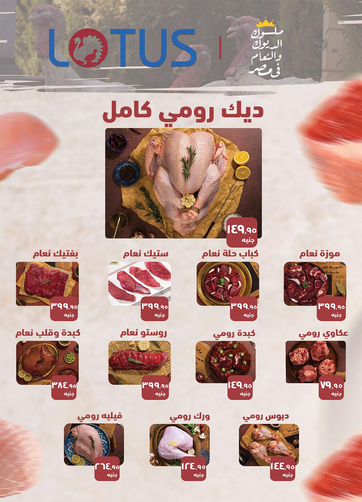 عروض الراية 15-31 يناير 2026 صفحة 16 - al raya offers 15-31 January 2026 page 16