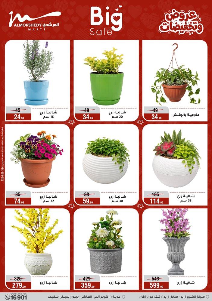 عروض المرشدي 1-7 إبريل 2026 صفحة 35