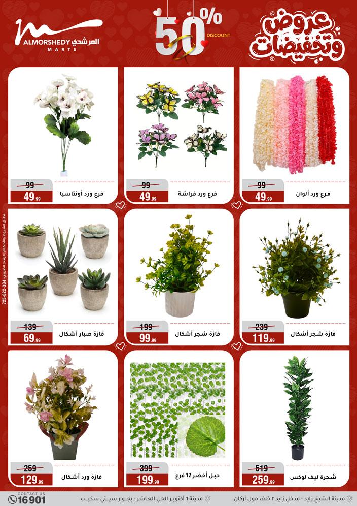 عروض المرشدي 25 مارس - 1 إبريل 2026 صفحة 67 - almorshedy offers 25 March - 1 April 2026 page 67