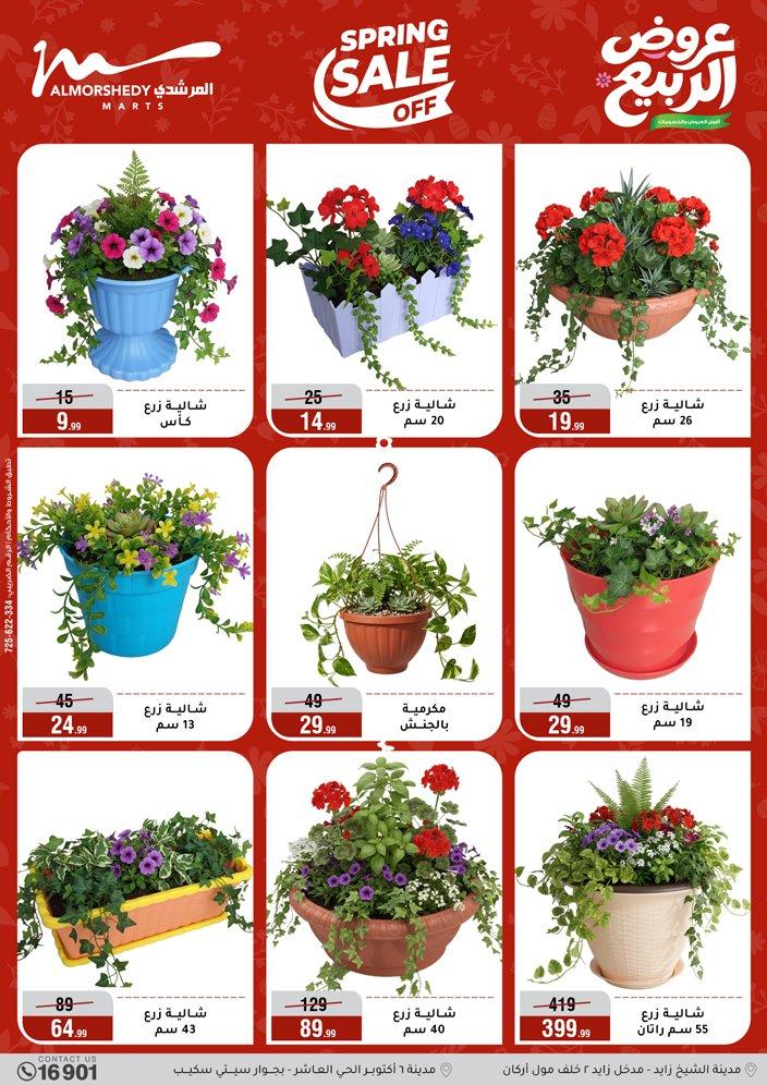 عروض المرشدي 8-13 إبريل 2026 صفحة 42