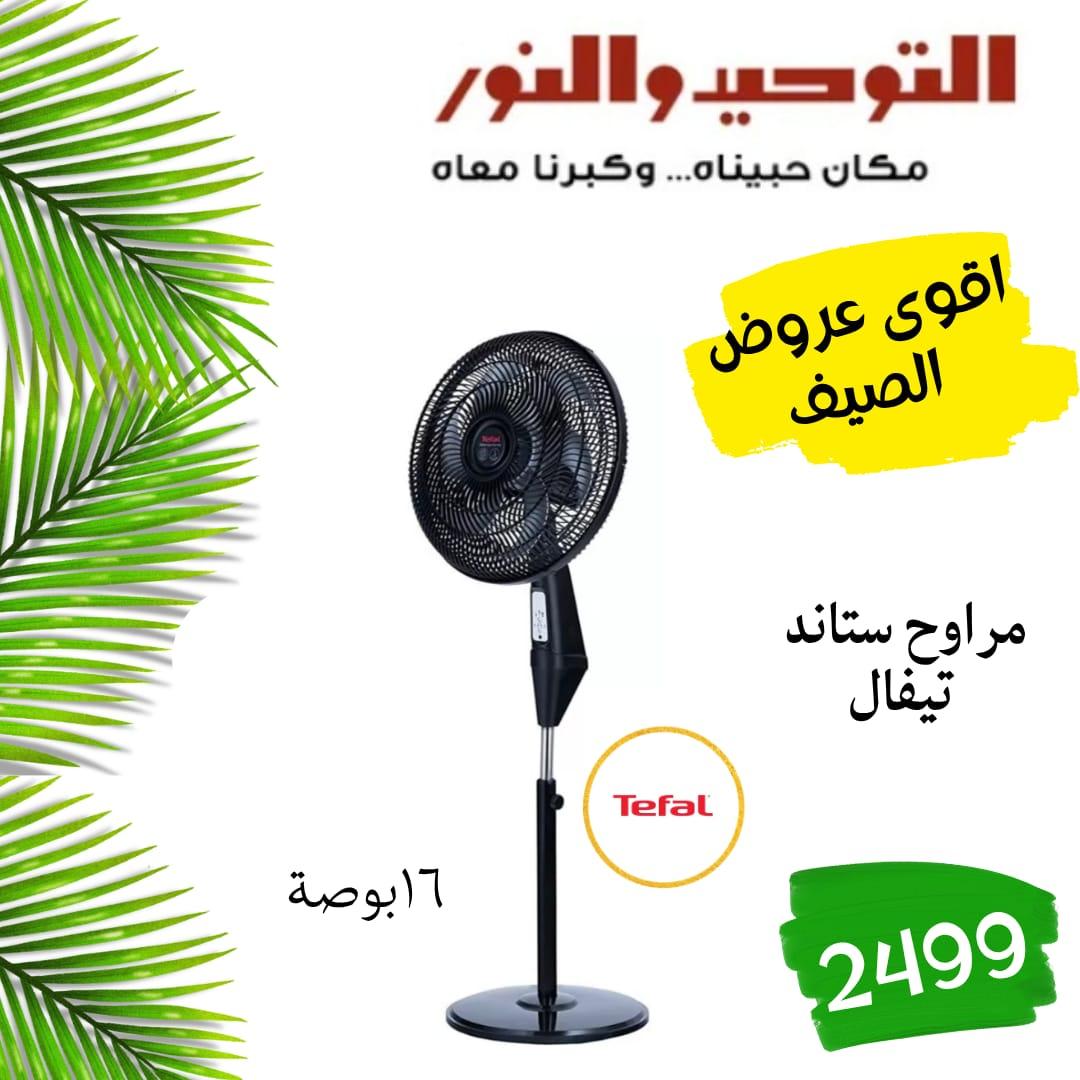 عروض التوحيد والنور 18-31 مايو 2026 صفحة 19