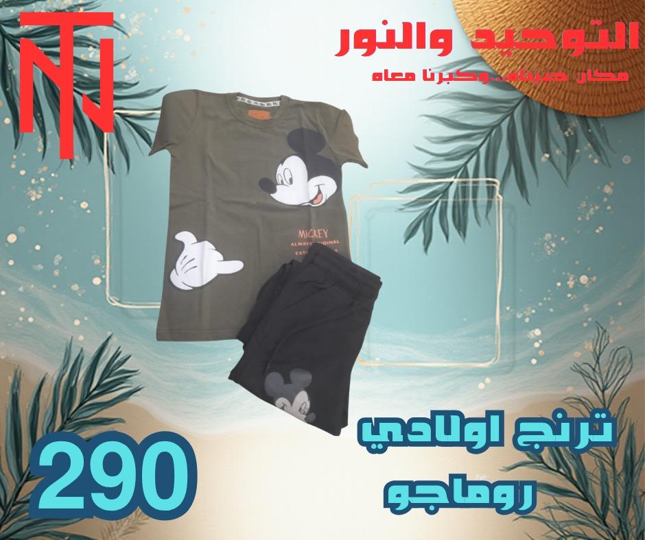 عروض التوحيد والنور 2-30 مايو 2026 صفحة 13