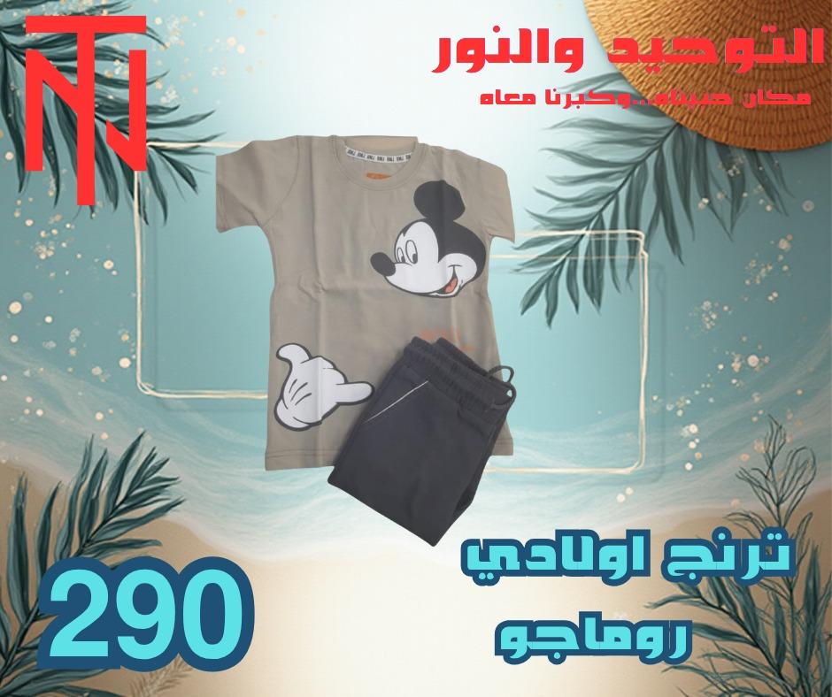 عروض التوحيد والنور 2-30 مايو 2026 صفحة 14