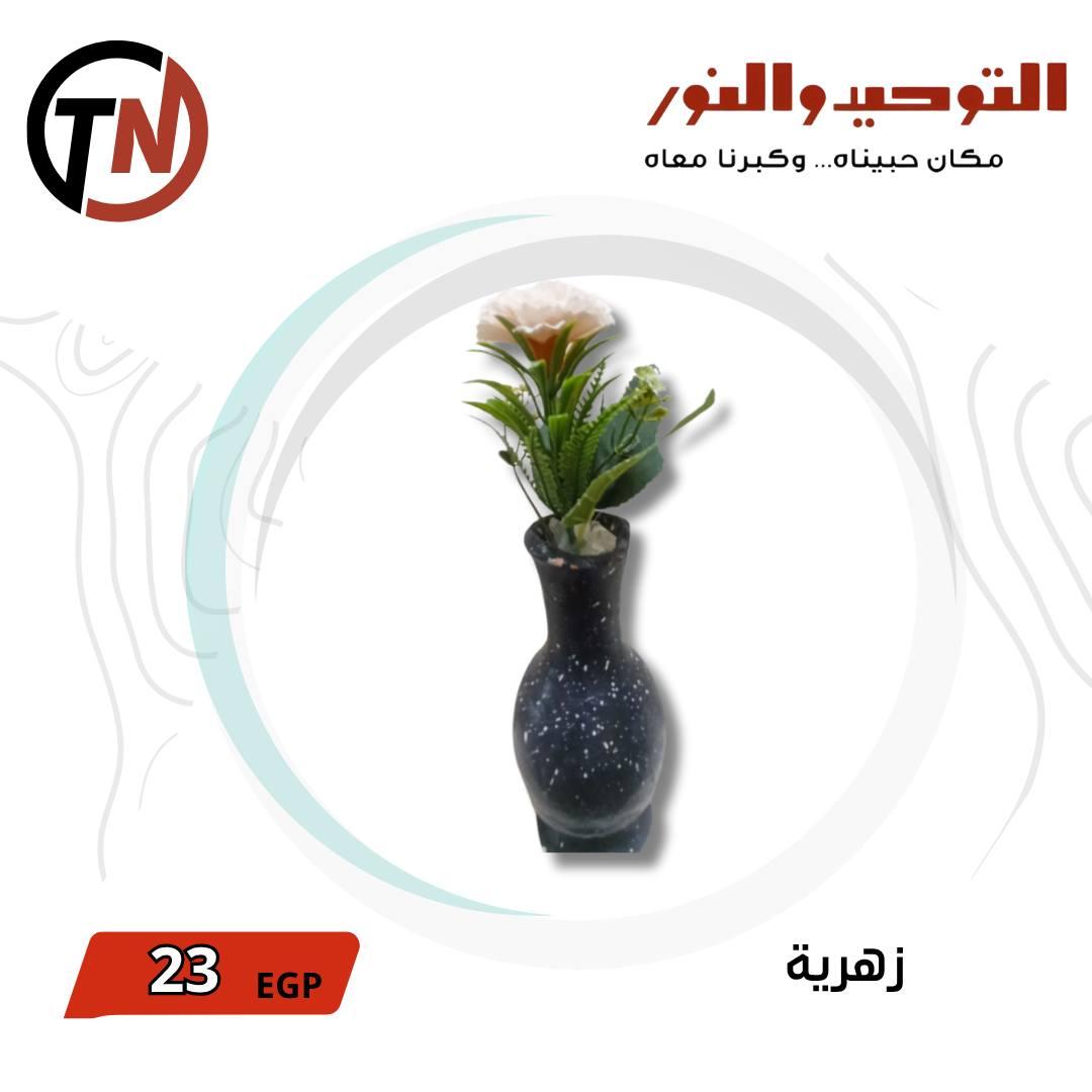 عروض التوحيد والنور 3-30 مايو 2026 صفحة 10