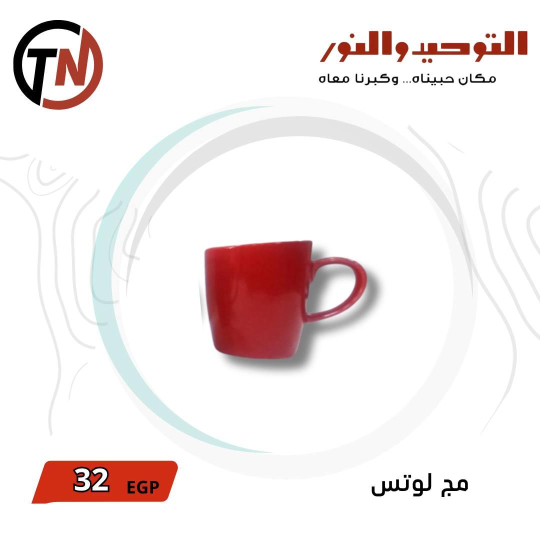 عروض التوحيد والنور 3-30 مايو 2026 صفحة 21