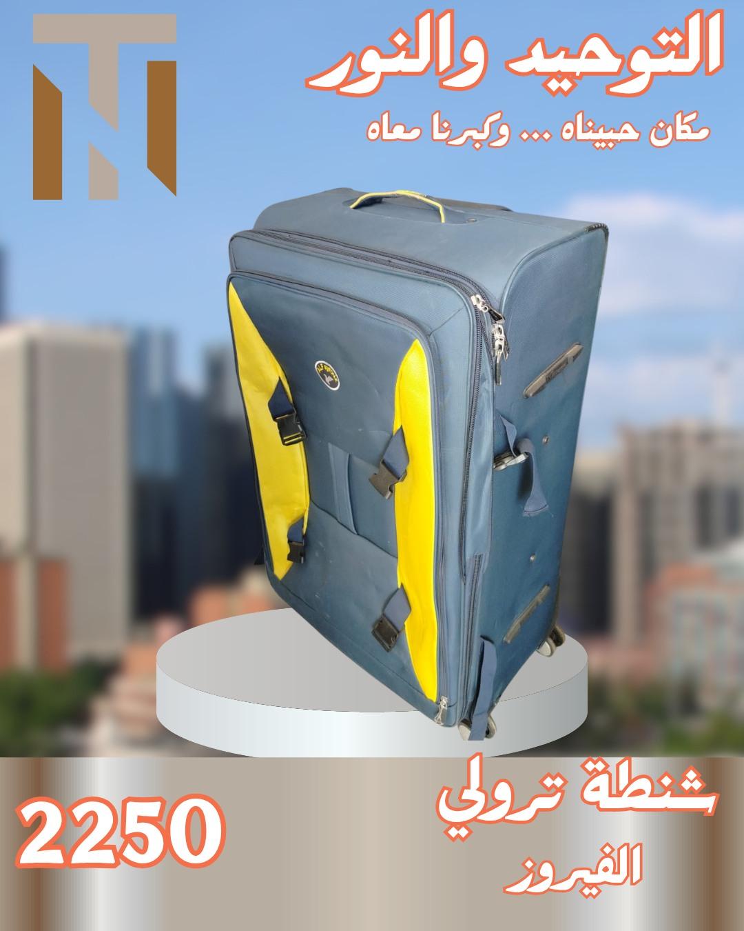 عروض التوحيد والنور 4-30 مايو 2026 صفحة 41