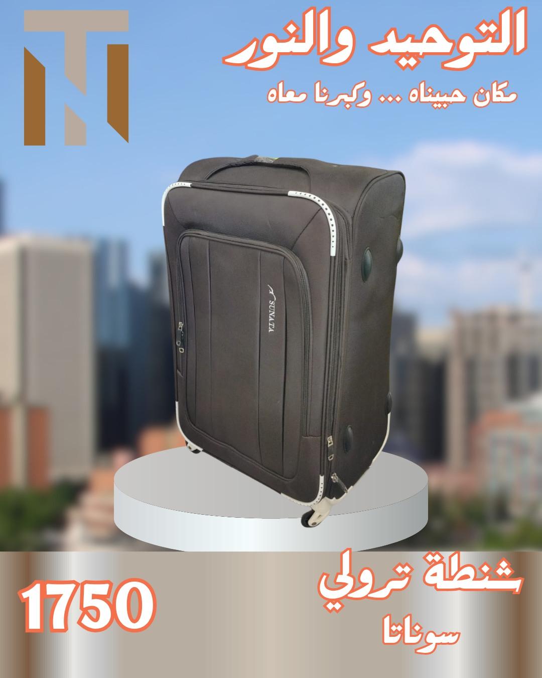 عروض التوحيد والنور 4-30 مايو 2026 صفحة 46