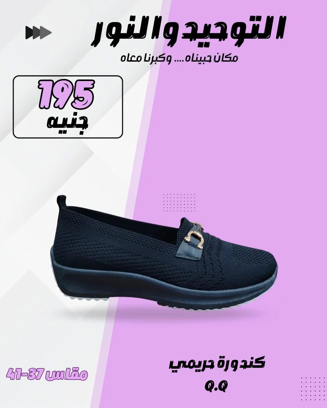 عروض التوحيد والنور 9-28 فبراير 2026 صفحة 23