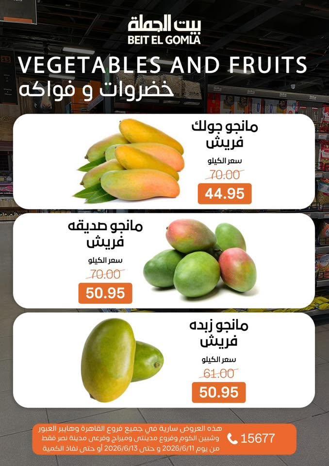 عروض بيت الجملة 11-13 يونيو 2026 صفحة 14